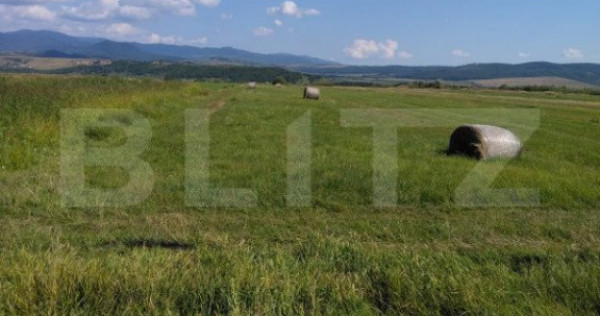 Teren extravilan, Livezile, 1.83 hectare