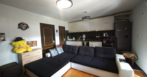 Apartament 2 camere 42 mp + loc parcare + boxa - Bucium-Visa