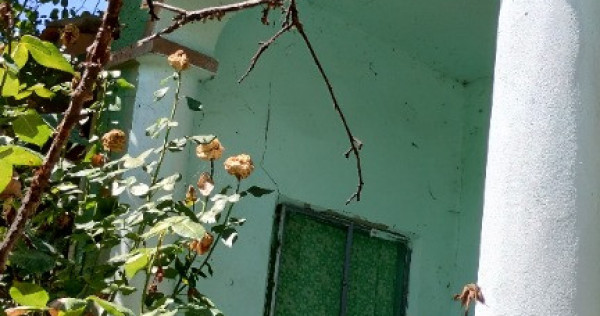 Teren cu casa batraneasca Viisoara, Teleorman