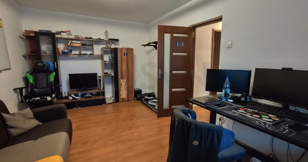 Apartament 2 camere Teiul Doamnei