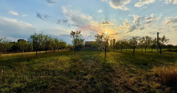 Teren intravilan in orasul Seini (Zona linistita in dezvo...