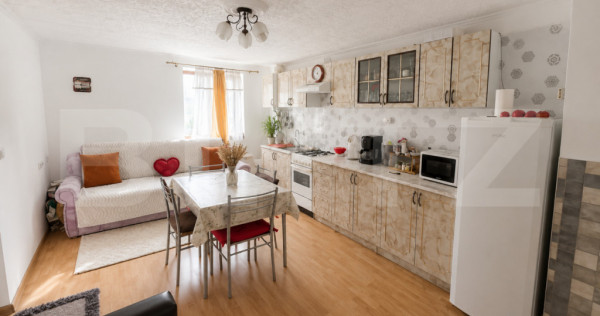 Casa de Vanzare in Teaca de 3 camere cu 11 arii teren