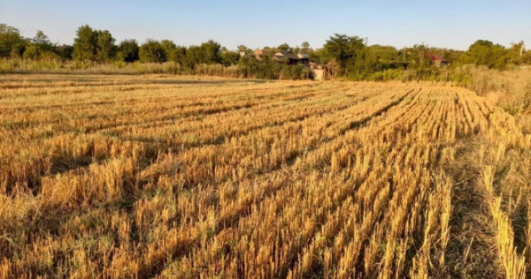 Teren de vanzare, 3997 mp, zona Stolnici