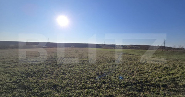 Teren extravilan de 11000 mp in Bontida