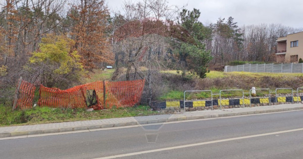 Oportunitate investiție B. Felix teren intravilan cu PUZ...