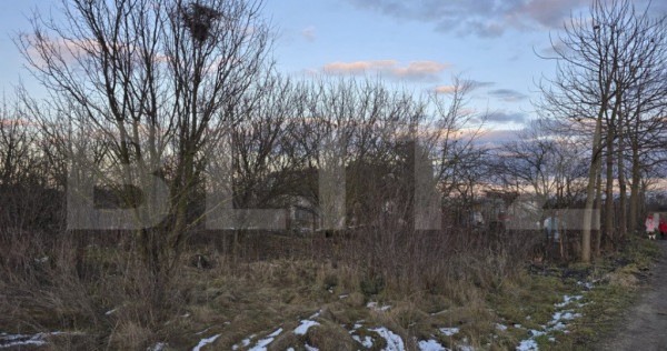 Teren 8 ari, Martinesti