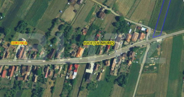 Teren de vanzare in Corunca