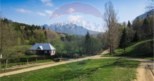 Teren 6000 mp, Vama Buzaului - vedere către Ciucaș