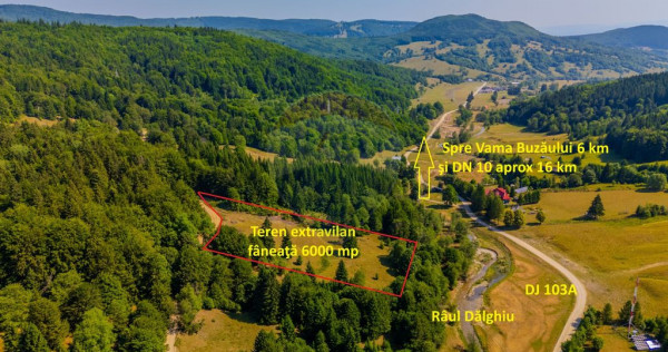 Teren 6000 mp, Vama Buzaului - vedere către Ciucaș