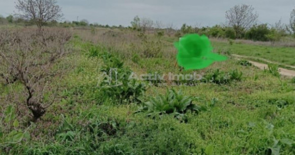 Teren 2000 mp--Pozitie excelenta-Mihailesti-Centru-Deschider