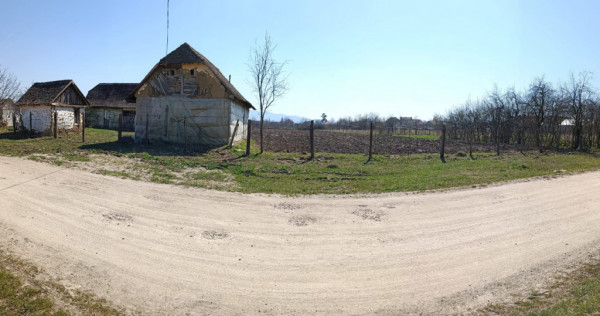 Teren intravilan cu casă. 6150mp Tarnova, Arad