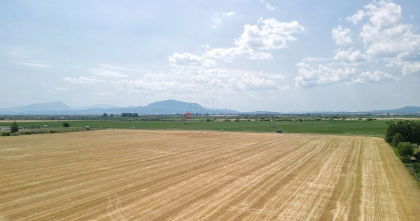 Teren Industrial Olympus DN13