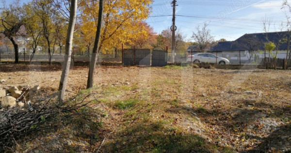 Teren Intravilan 1561mp Pucioasa