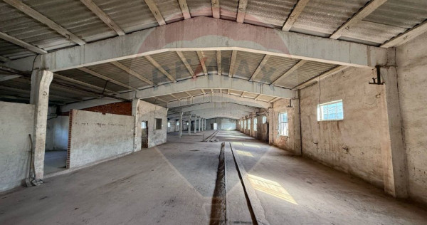 De vânzare spații de producție și depozitare (hale),S...