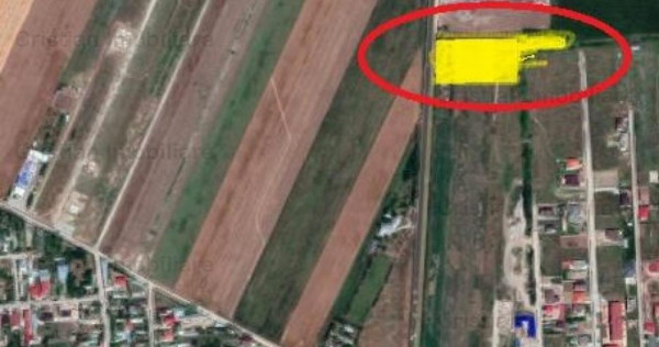 Teren intravilan 5000 mp Minerva cu posib utilitati ,25 euro