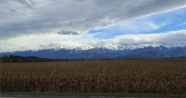 Teren 5000 mp langa E68