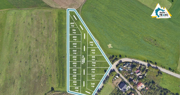 Teren de 11500 mp pentru Complex Rezidențial în Sânnicolau Mic
