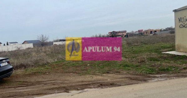 Teren Domnesti- Drumul Targului.