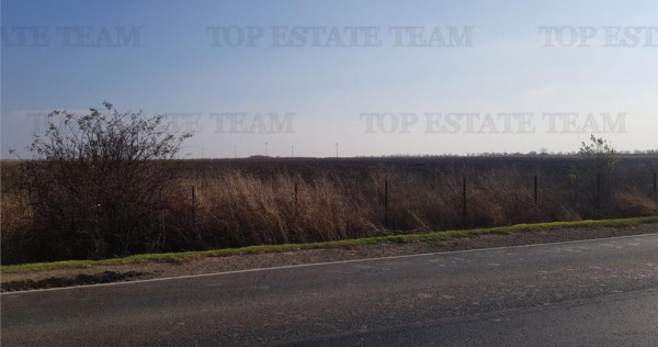 Teren extravilan - Braila - E584 -