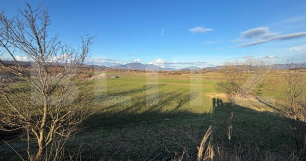 Teren extravilan 1000 mp, zona Livezile