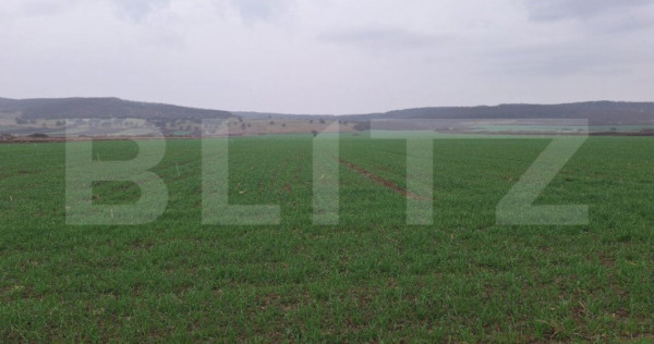 Teren extravilan agricol, 4200 mp, zona Cugir