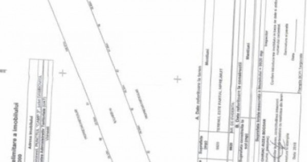 Livada de vanzare, 10000 mp, zona Voinesti