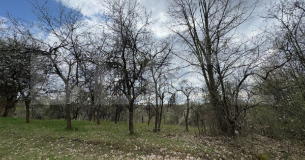Vând casa cu 1 ha de livadă in Carmazanesti