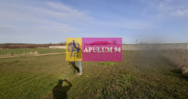 Parcelă lângă pădure în Ilfov