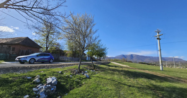 Teren 4606 mp - Runcu - la aproximativ 20 km de Târgu Jiu