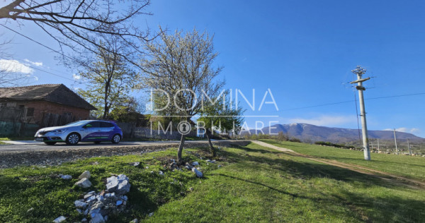 Teren 4606 mp - Runcu - la aproximativ 20 km de T&acirc;rgu Jiu