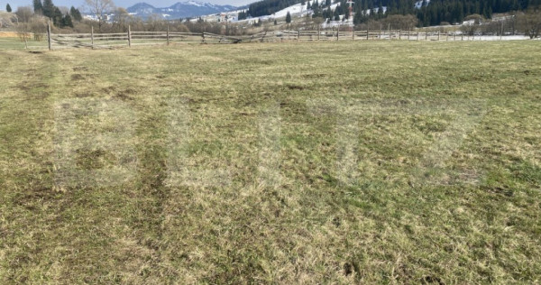 Teren intravilan de vanzare, 12.500 mp, zona Vatra Dornei, P