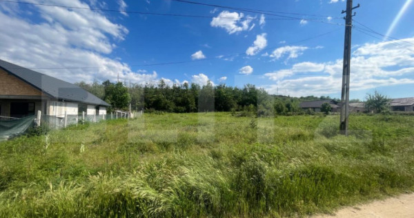 Teren intravilan 800 mp, zona Leamna de Sus