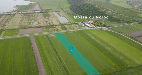 Teren extravilan de 22500mp Zona Ineu