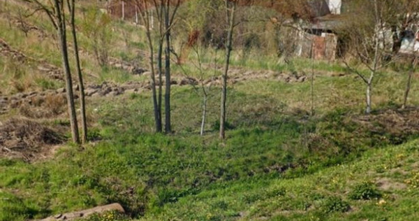 Teren 2.341 mp Uileacu de Munte front 25 ml la drum asfaltat