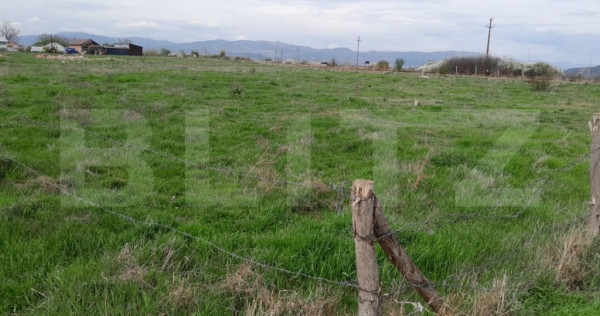 Teren intravilan,5500mp zona Sebes