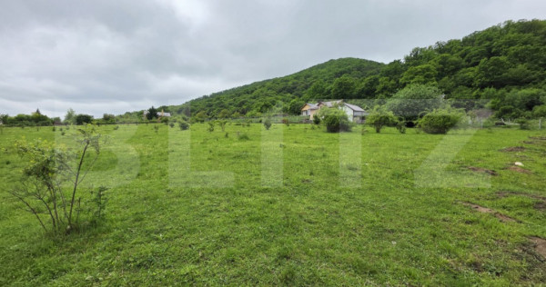 Teren intravilan de vanzare, 14,5 ari, zona Sud-Bistrita