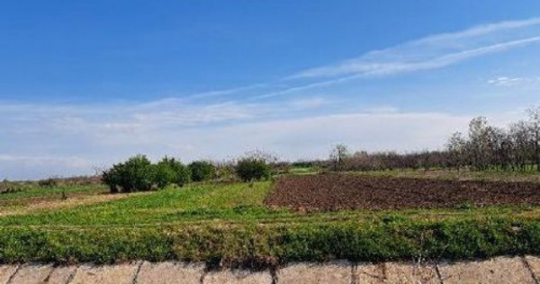 Teren extravilan, loc Obarsia, Jud Olt