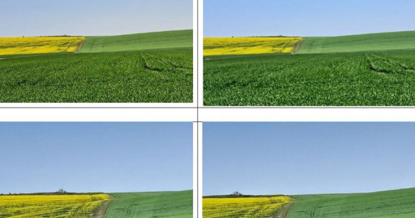 Teren extravilan, loc. Barza, jud Olt,