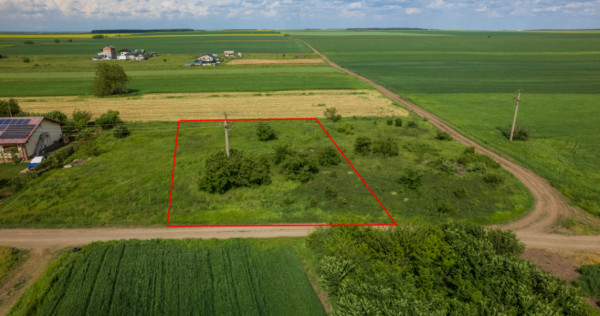 FRUMUSANI - POSTAVARI, TEREN 1500 MP, FRONT 30 M !