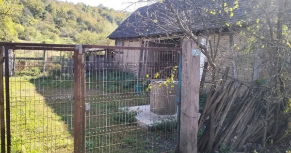 Teren 6000mp Julita, Arad