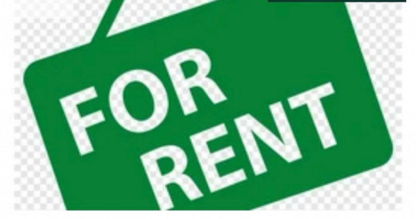 Spatiu comercial de inchiriat, 55 mp, Radauti