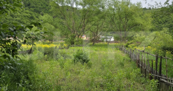 Teren intravilan Ciucea