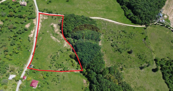 DE V&Acirc;NZARE &ndash; Teren intravilan 3 hectare, in Codrul But...