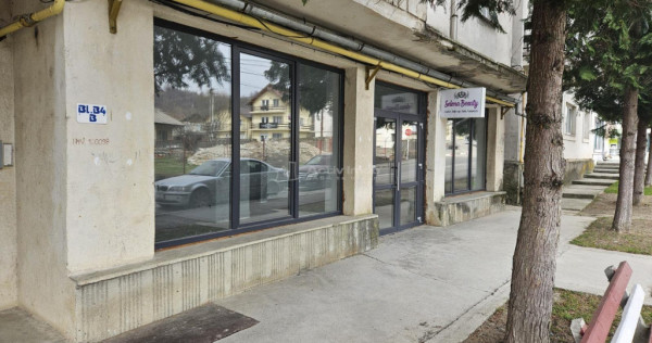 Spatiu comercial de inchiriat 110 mp Central Fieni