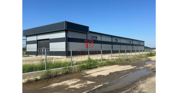 Depozit/hala/spatiu industrial Chiajna - Ciorogarla - A1-A