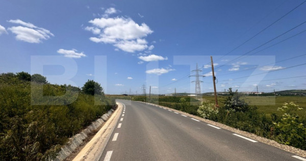 Teren intravilan, 5000mp, Uricani