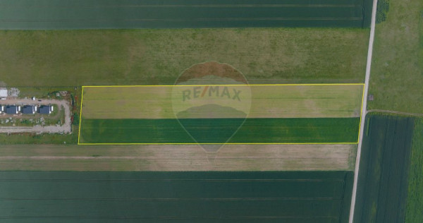 Teren 42,000mp Tarlungeni / Strada Izvor