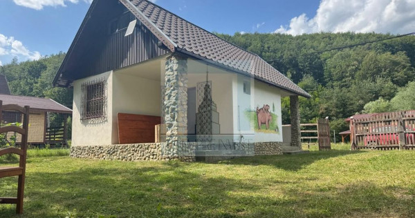 Casa de vacanta - zona Valea Bozom - Apata jud.Brasov