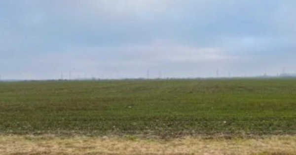 Teren Extravilan Cerna, cota parte 1/5 ID: R2581973