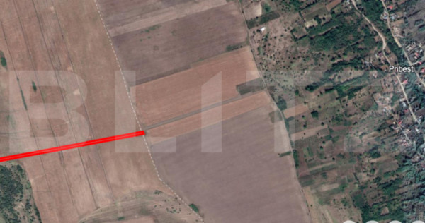 Teren agricol 5400mp Dobrovat iasi